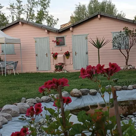 Проживание в семье Fiordiloto *